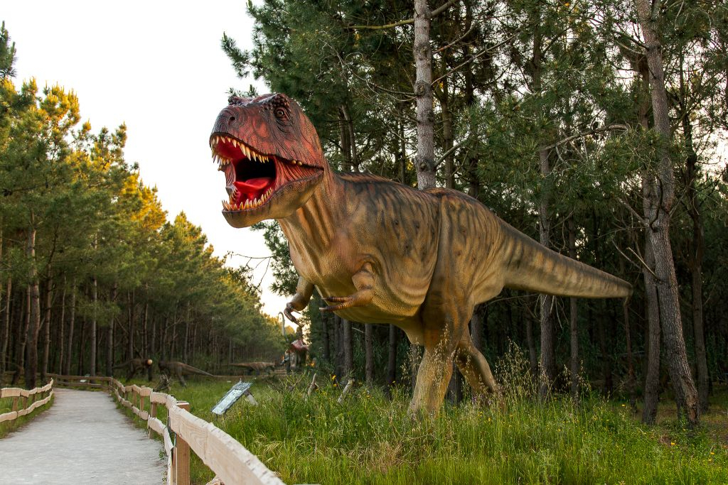 Dino Parque Lourinhã: Bilhete de entrada