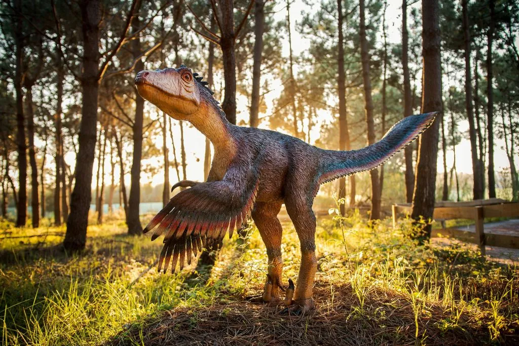 Dino Parque Lourinhã: Bilhete de entrada