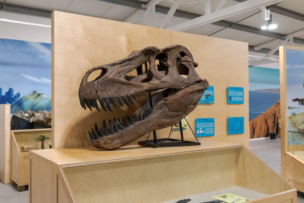 Dino Parque Lourinhã: Bilhete de entrada