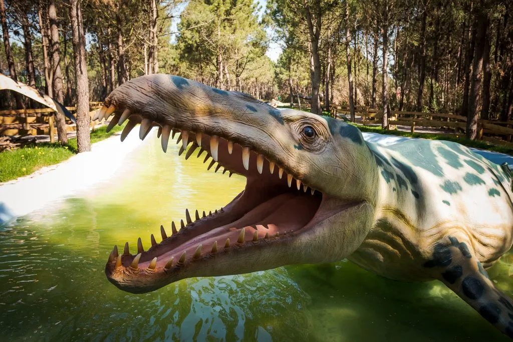 Dino Parque Lourinhã: Bilhete de entrada