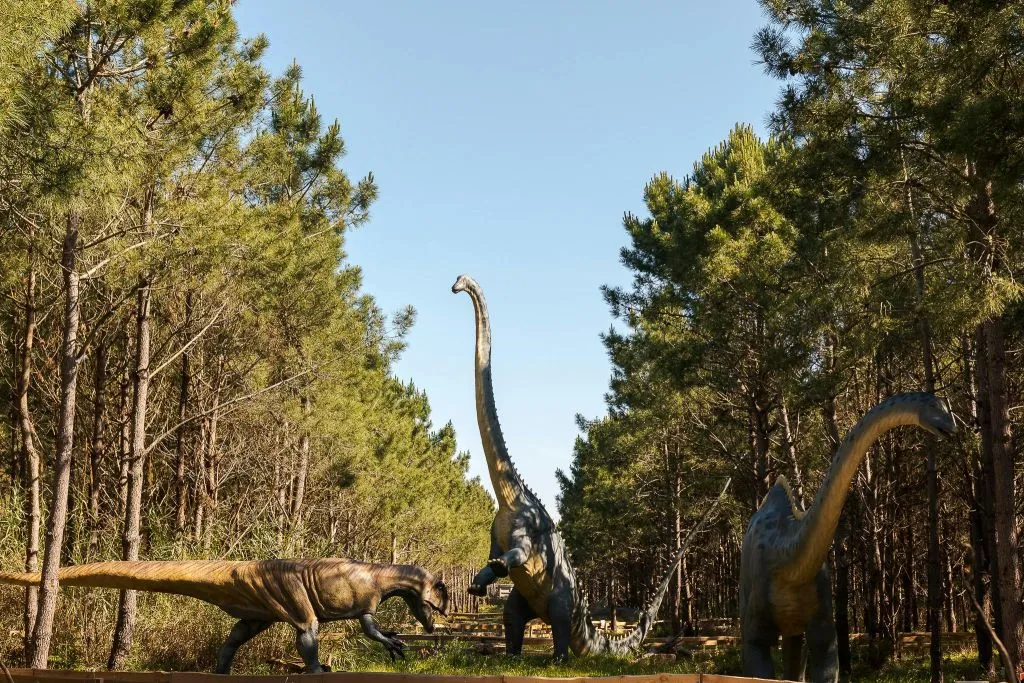 Dino Parque Lourinhã: Bilhete de entrada