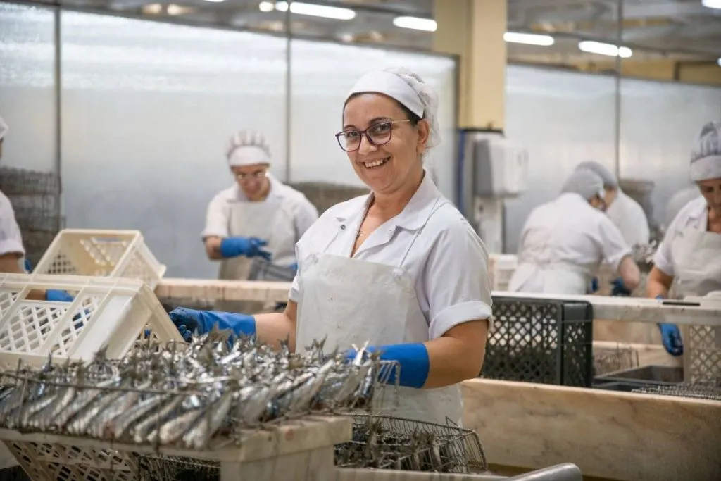 Conservas Pinhais Factory Tour