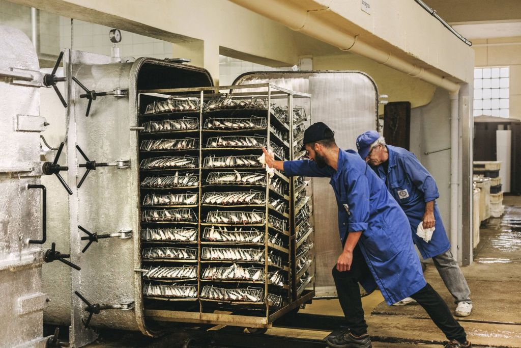 Conservas Pinhais Factory Tour