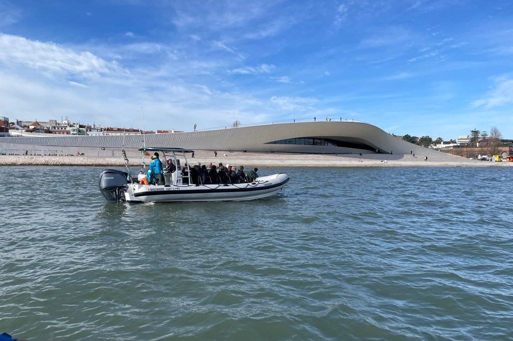 Dolphin Watching Tour from Lisbon