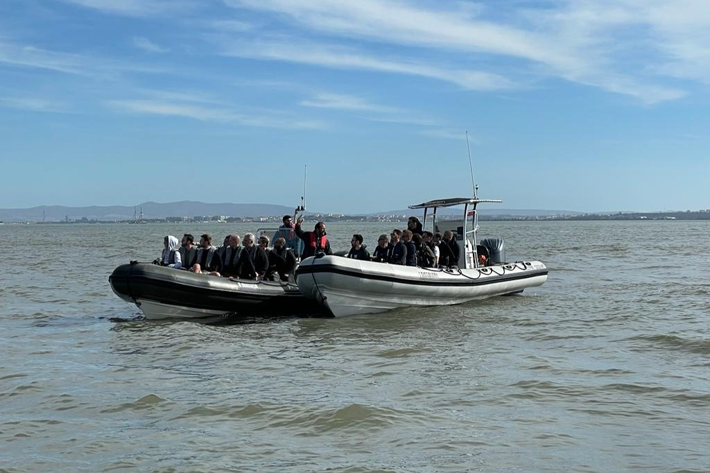Dolphin Watching Tour from Lisbon