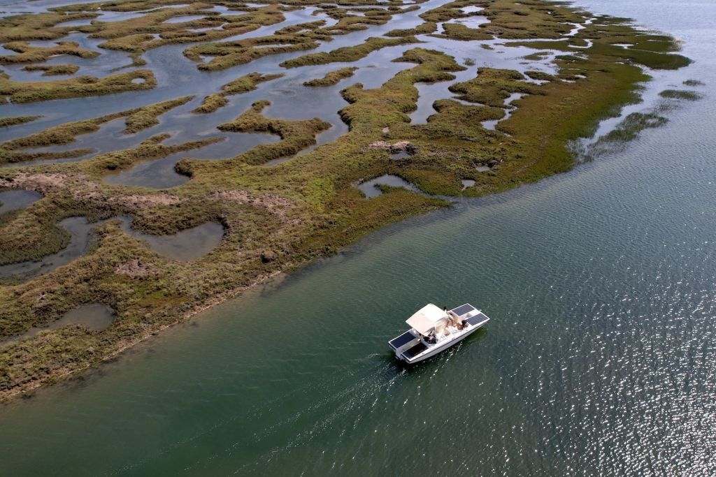 Ria Formosa Eco Boat Tour
