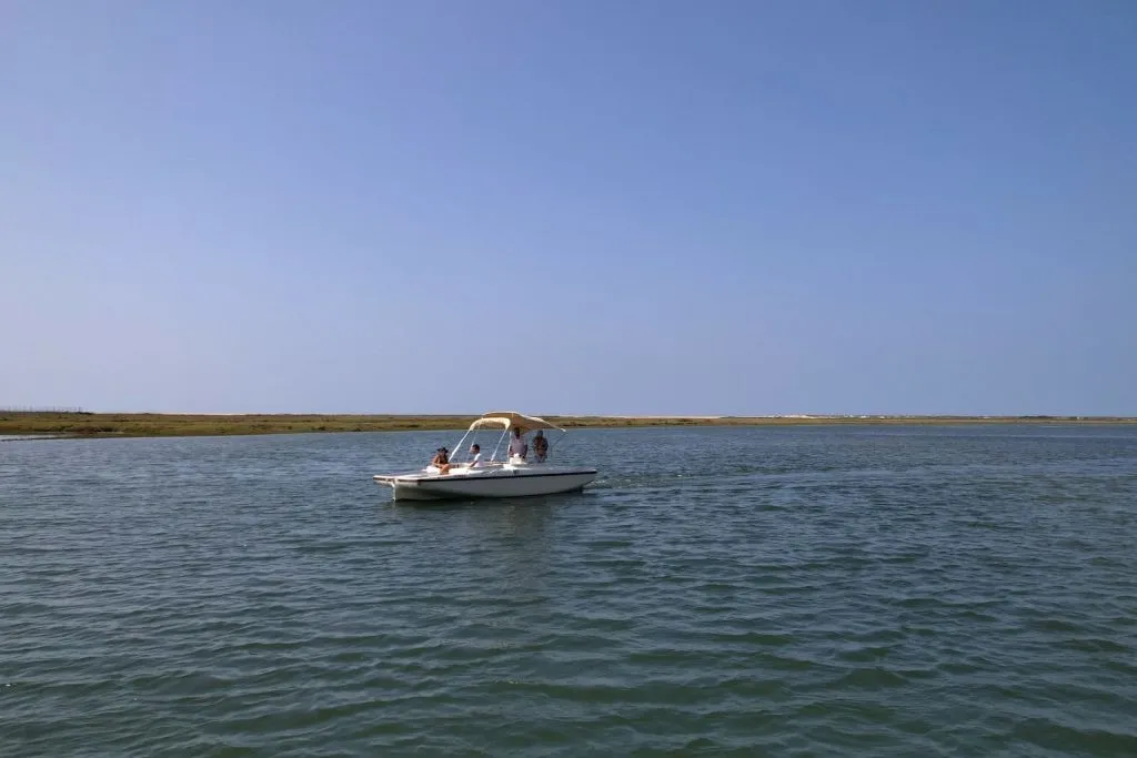 Ria Formosa Eco Boat Tour