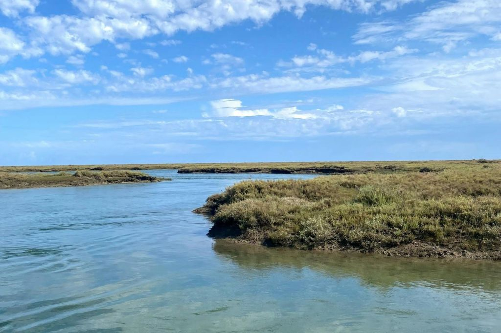 Ria Formosa Eco Boat Tour