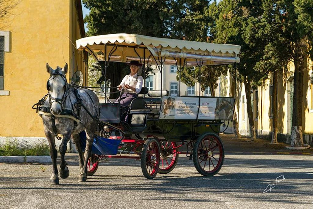 Belém: Horse-Drawn Carriage Ride