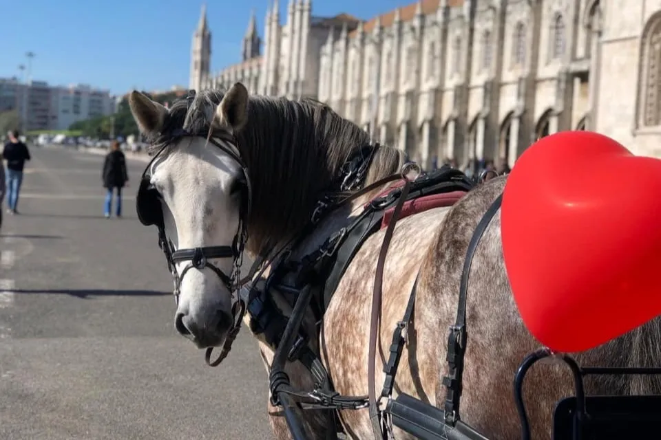 Belém: Horse-Drawn Carriage Ride
