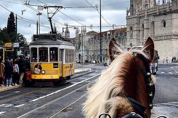Belém: Horse-Drawn Carriage Ride