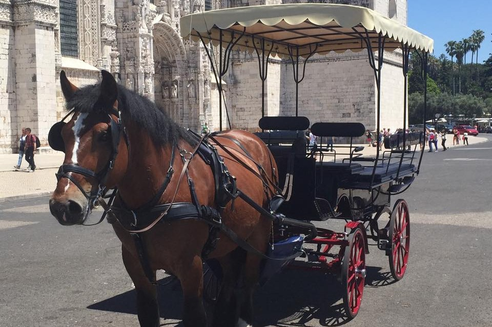 Belém: Horse-Drawn Carriage Ride