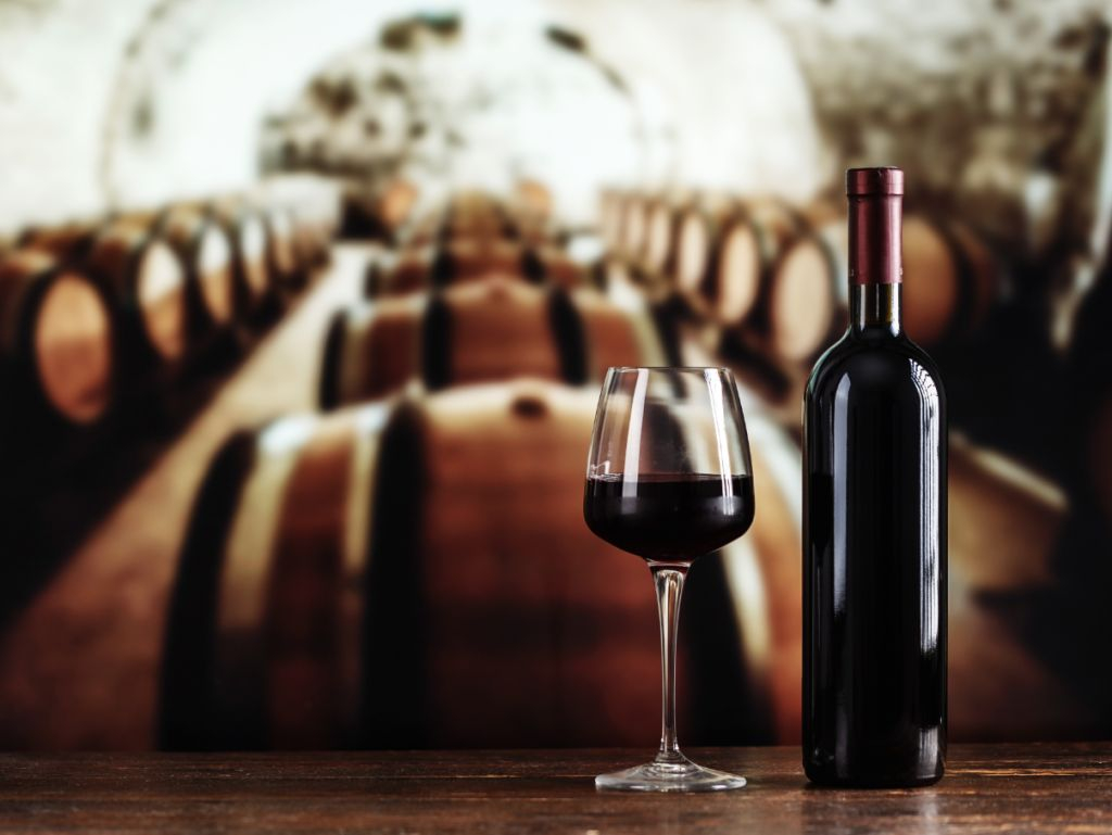 Oporto: Visita de medio día en autobús con cata de vinos de Oporto + Crucero