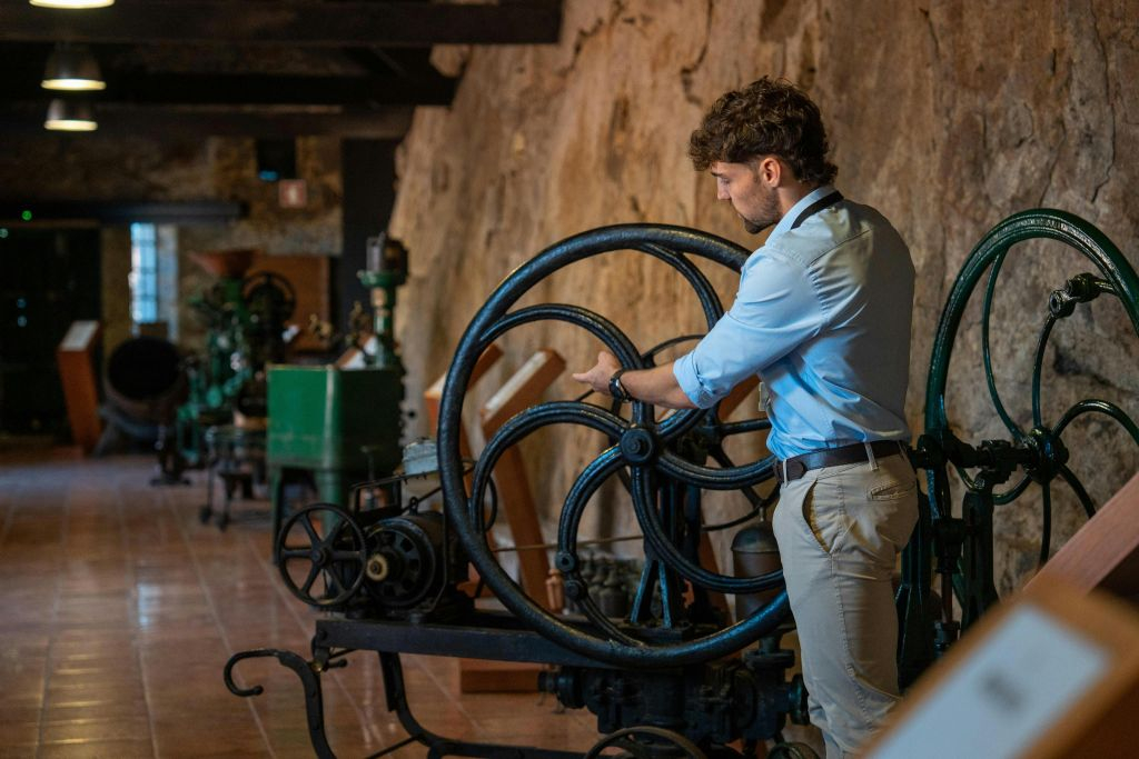 TukTuk around Porto + Winery with tasting + Cruise