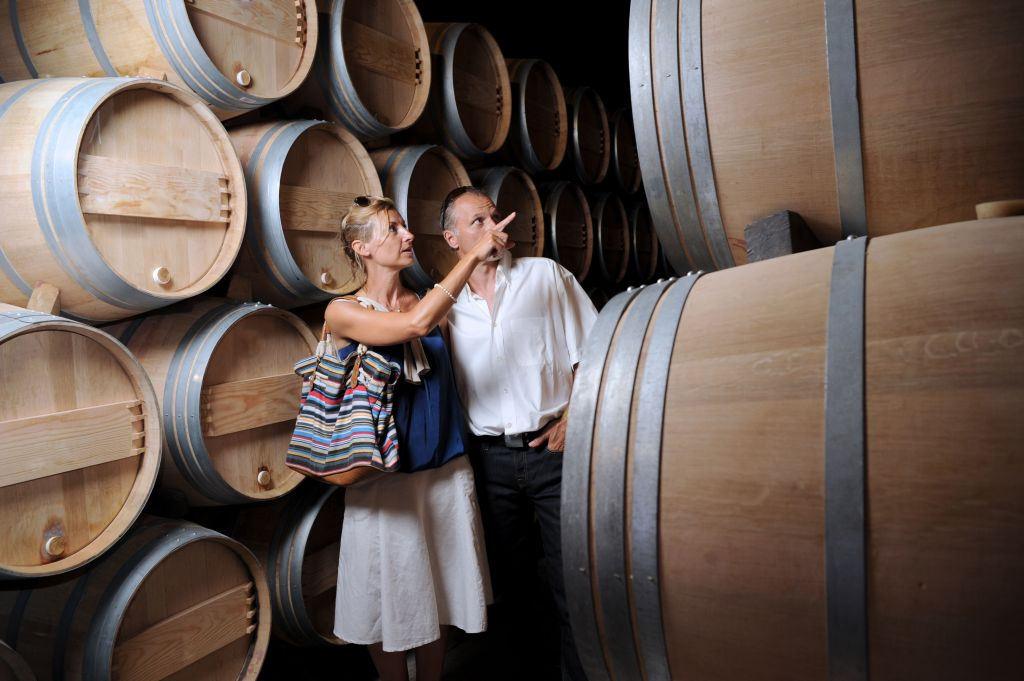 Porto: Full Day City Tour by Bus with Wine Cellar, Lunch and Cruise