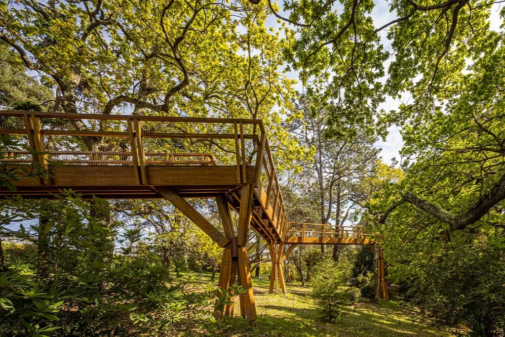 Serralves Park: Entry Ticket and Treetop Walk