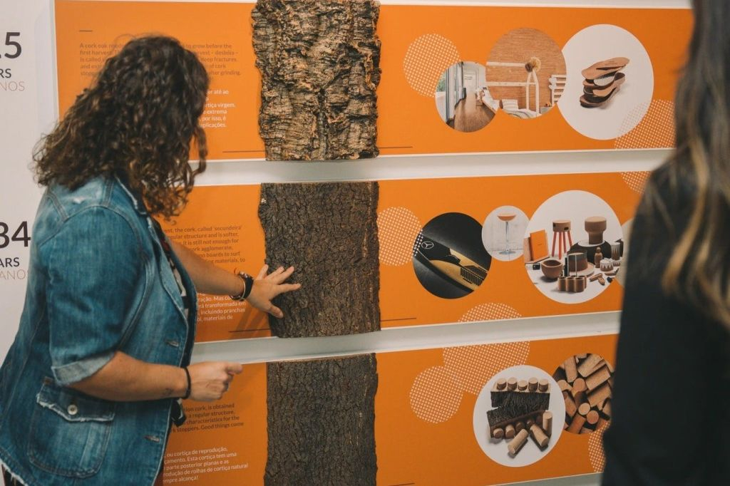 Fonseca Cellar & WOW Museum: Entry Ticket, Tour + Tasting