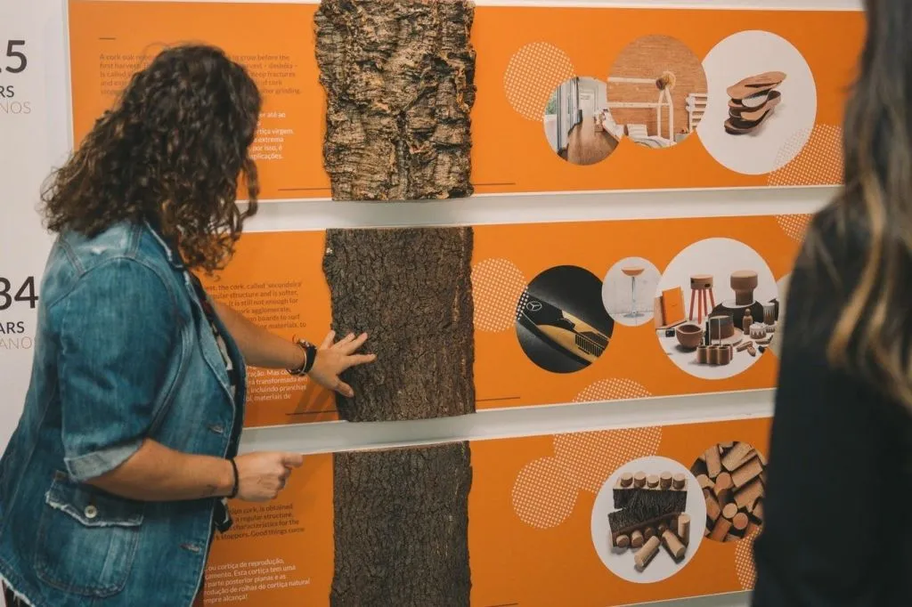 Fonseca Cellar & WOW Museum: Entry Ticket, Tour + Tasting