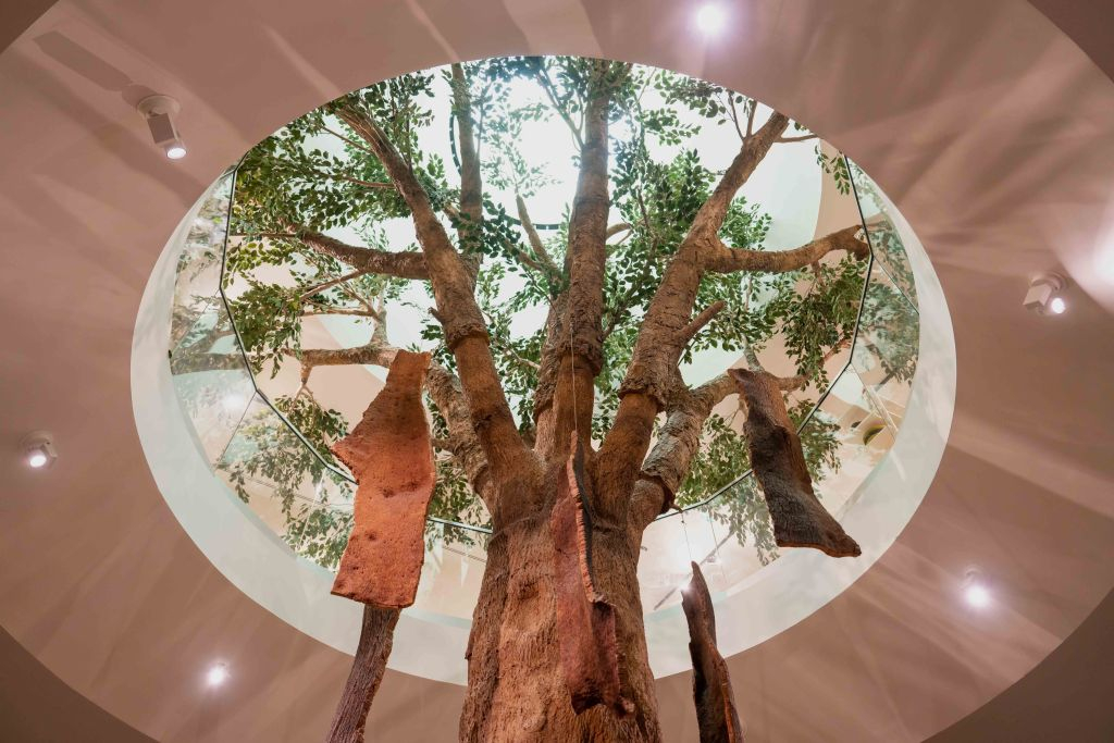 Fonseca Cellar & WOW Museum: Entry Ticket, Tour + Tasting