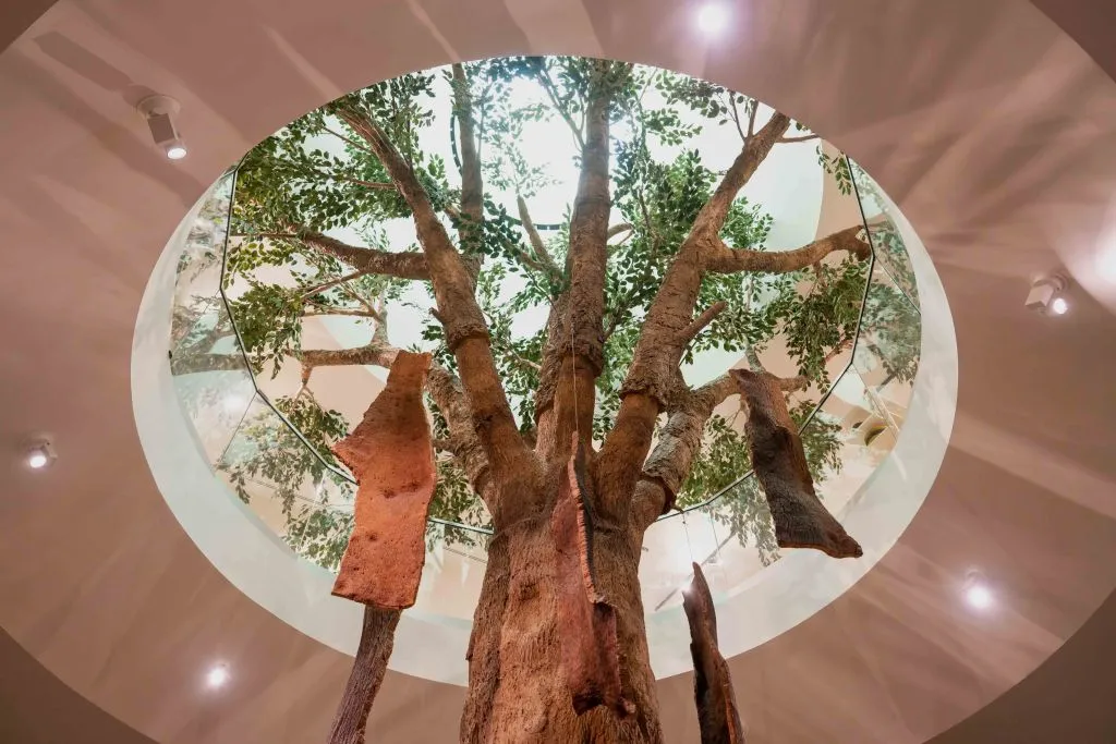 Fonseca Cellar & WOW Museum: Entry Ticket, Tour + Tasting