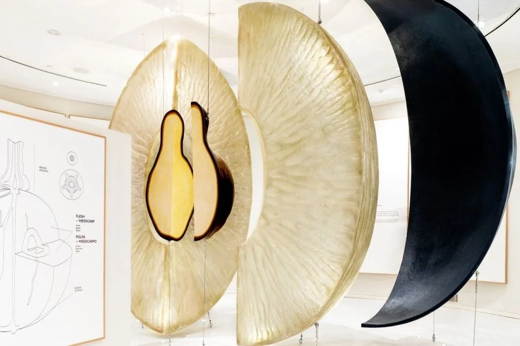 Fonseca Cellar & WOW Museum: Entry Ticket, Tour + Tasting