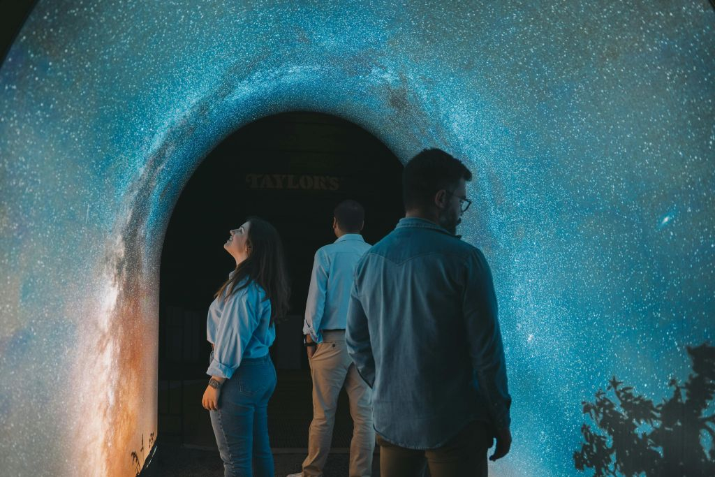 Taylor's Cellar & The Wine Experience: Tour + Tasting