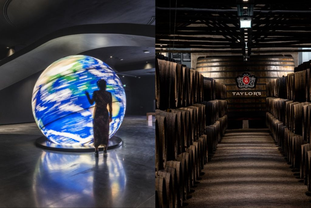 Taylor's Cellar & The Wine Experience: Tour + Tasting