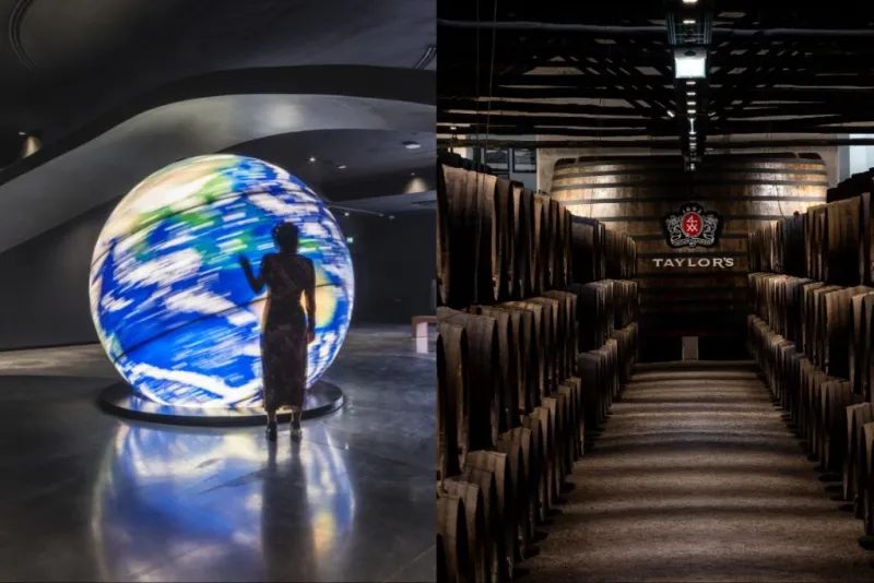 Taylor's Cellar & The Wine Experience: Tour + Tasting
