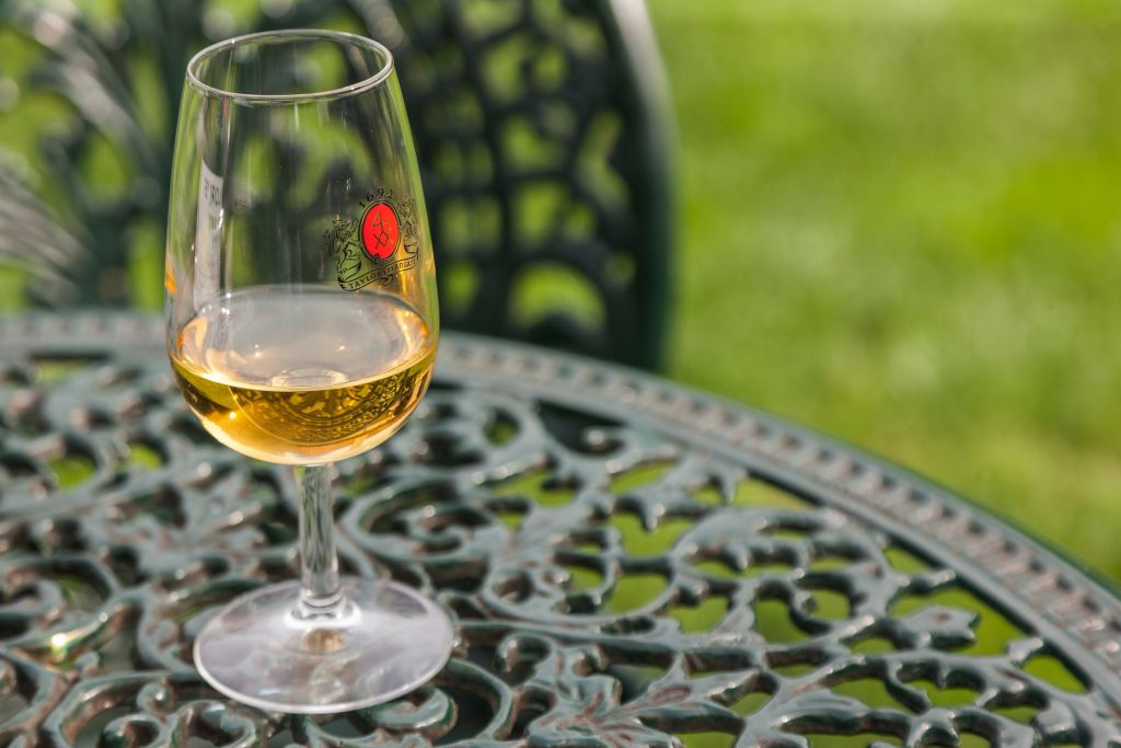Taylor's Cellar & The Wine Experience: Tour + Tasting