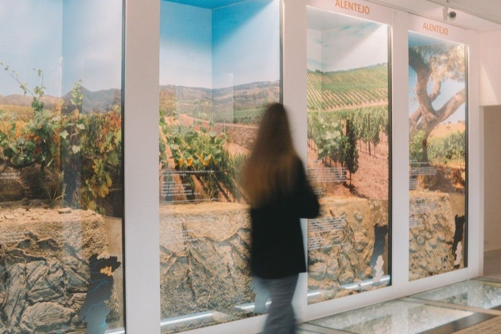 Taylor's Cellar & The Wine Experience: Tour + Tasting