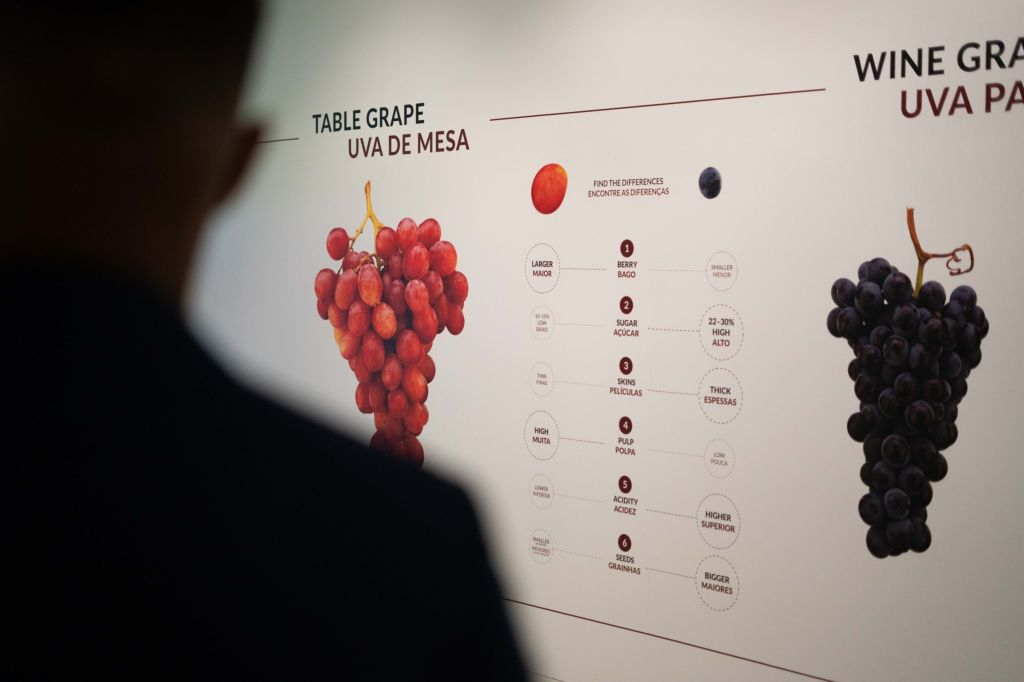Taylor's Cellar & The Wine Experience: Tour + Tasting