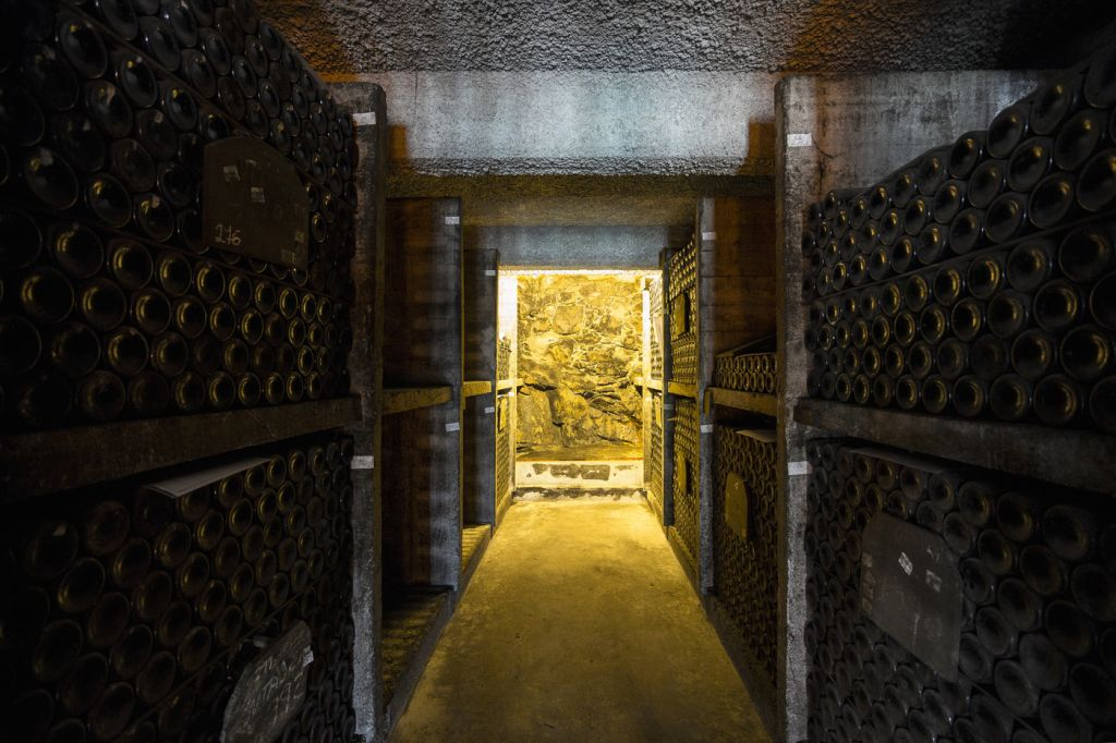 Porto Wine Tasting: Burmester Wine Cellars