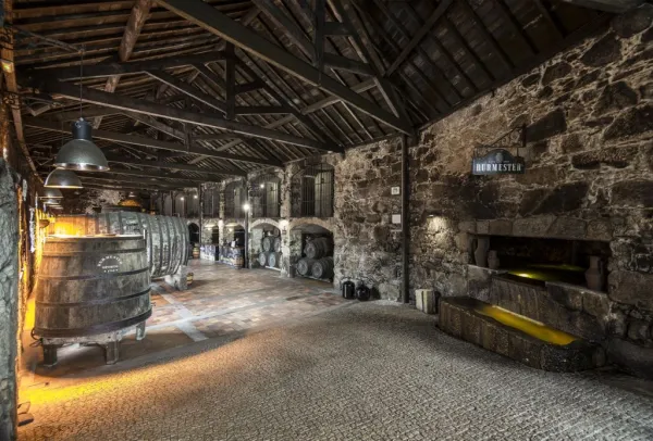 Caves Burmester: prova de vinhos do Porto
