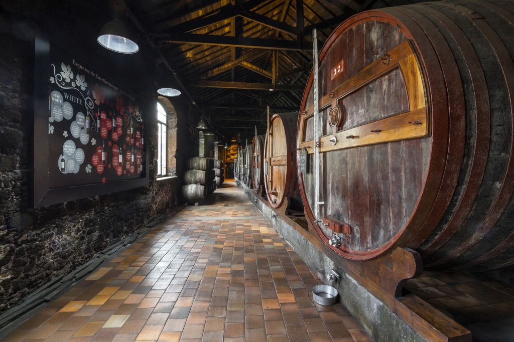 Porto Wine Tasting: Burmester Wine Cellars