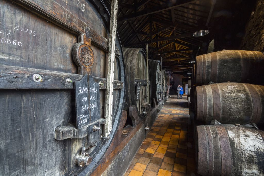 Porto Wine Tasting: Burmester Wine Cellars