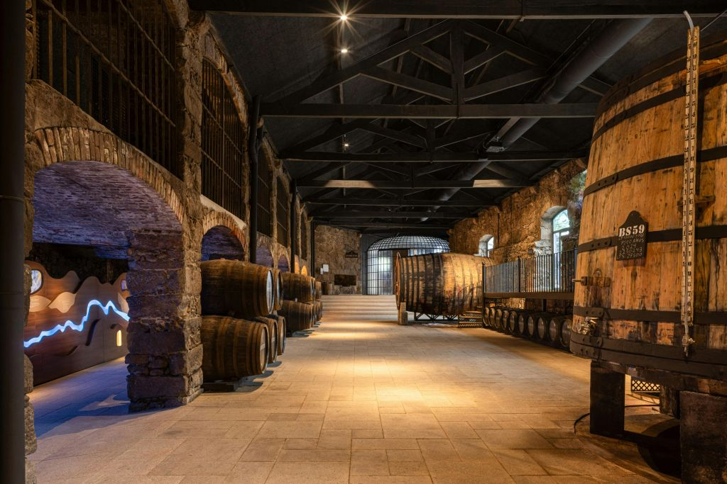 Porto Degustazione Vini: Cantine Burmester