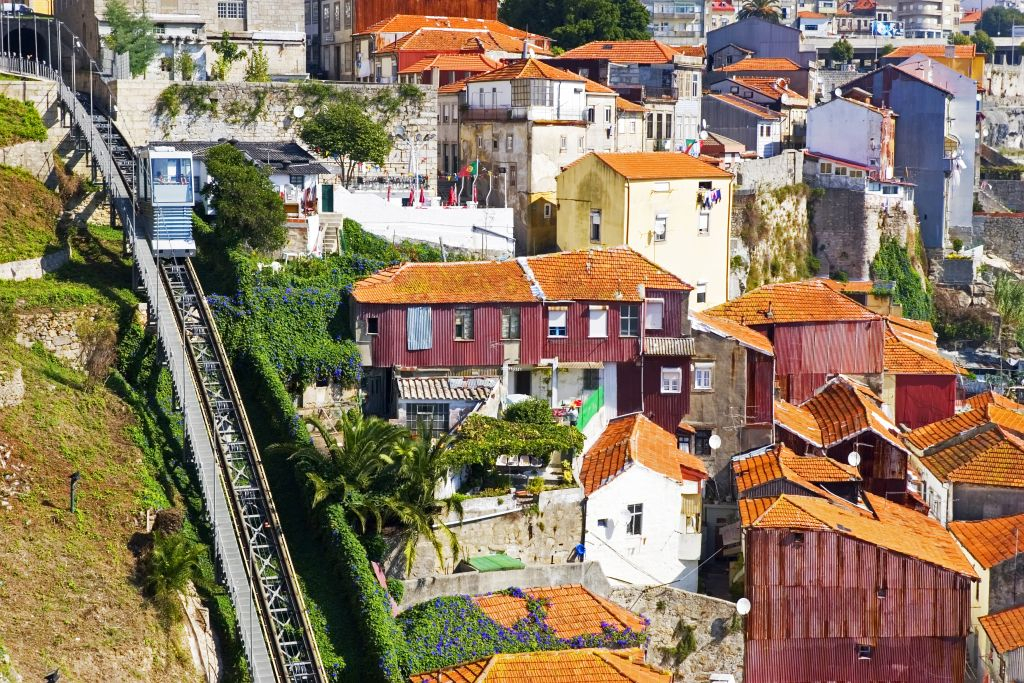 Oporto: Yellow Bus Hop-on Hop-off Tour + Tram City Tour