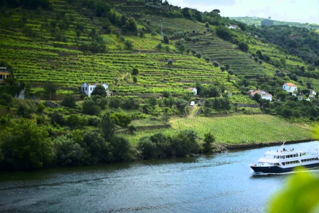 Douro Valley: Cruise from Porto to Pinhão with Breakfast, Lunch & Wine Tasting