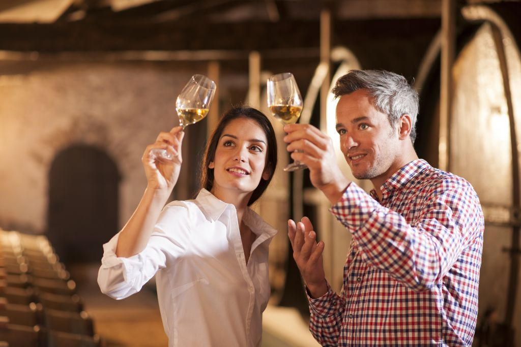 Douro Valley: Cruise from Porto to Pinhão with Breakfast, Lunch & Wine Tasting