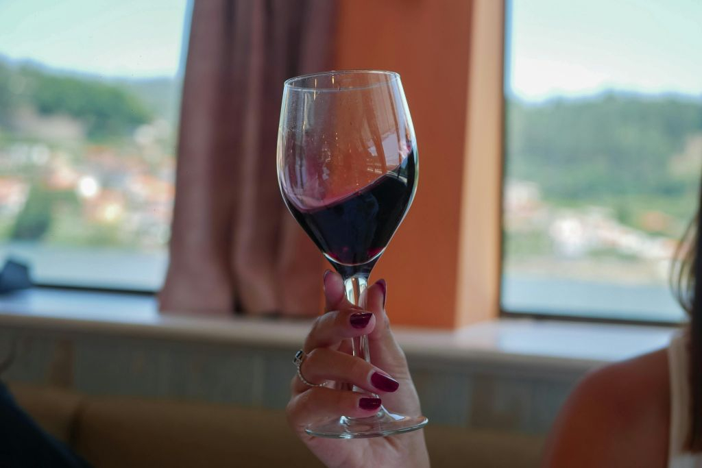 Douro Valley: Cruise from Porto to Pinhão with Breakfast, Lunch & Wine Tasting