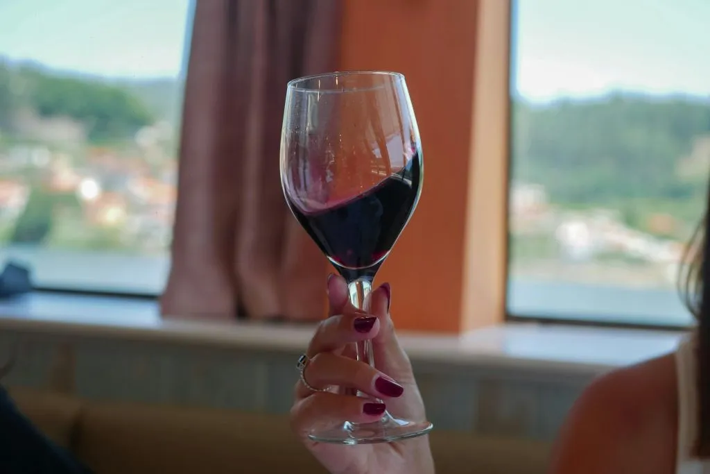 Douro Valley: Cruise from Porto to Pinhão with Breakfast, Lunch & Wine Tasting