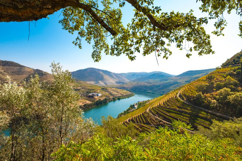Valle del Duero: Crucero + Desayuno, Comida y Vino desde Oporto