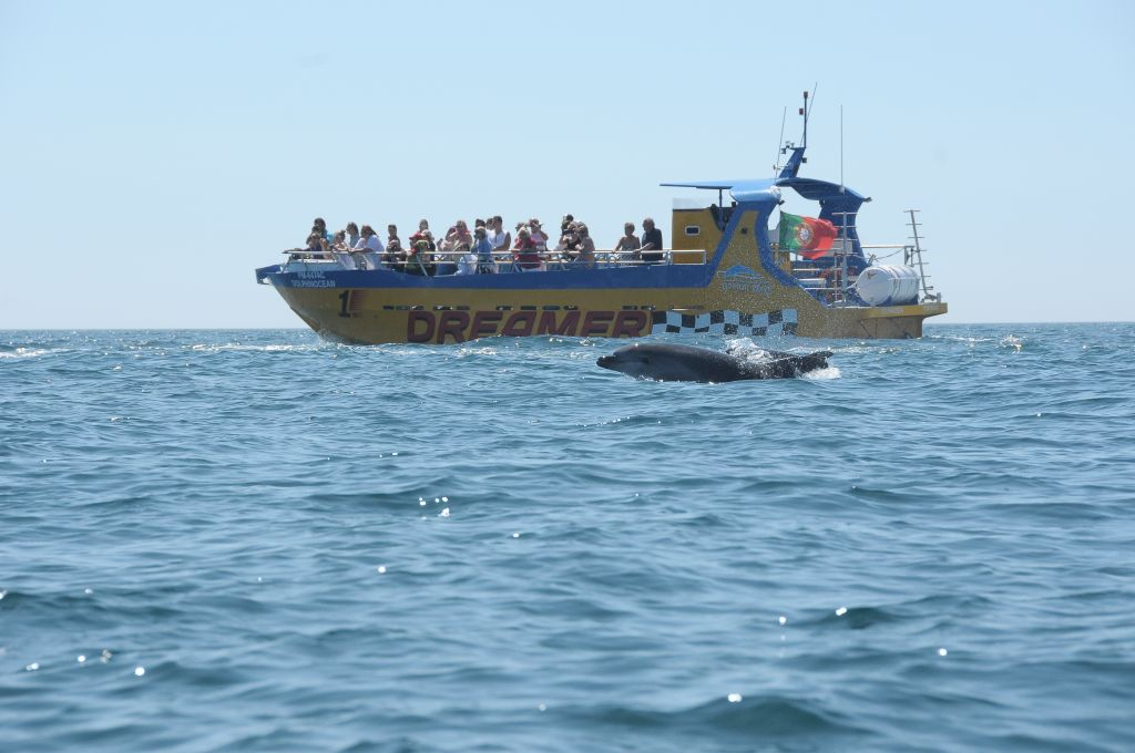 Caves and Dolphin Watching Cruise from Albufeira - Dreamer (Jet Boat)