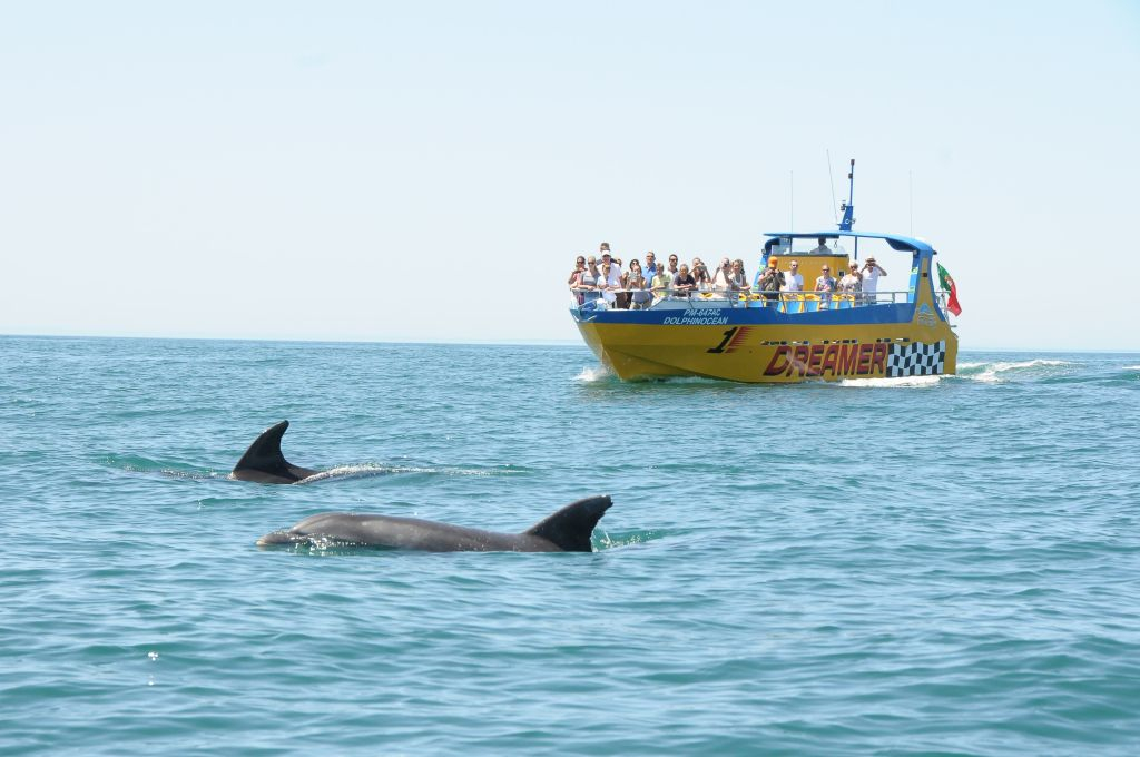 Caves and Dolphin Watching Cruise from Albufeira - Dreamer (Jet Boat)