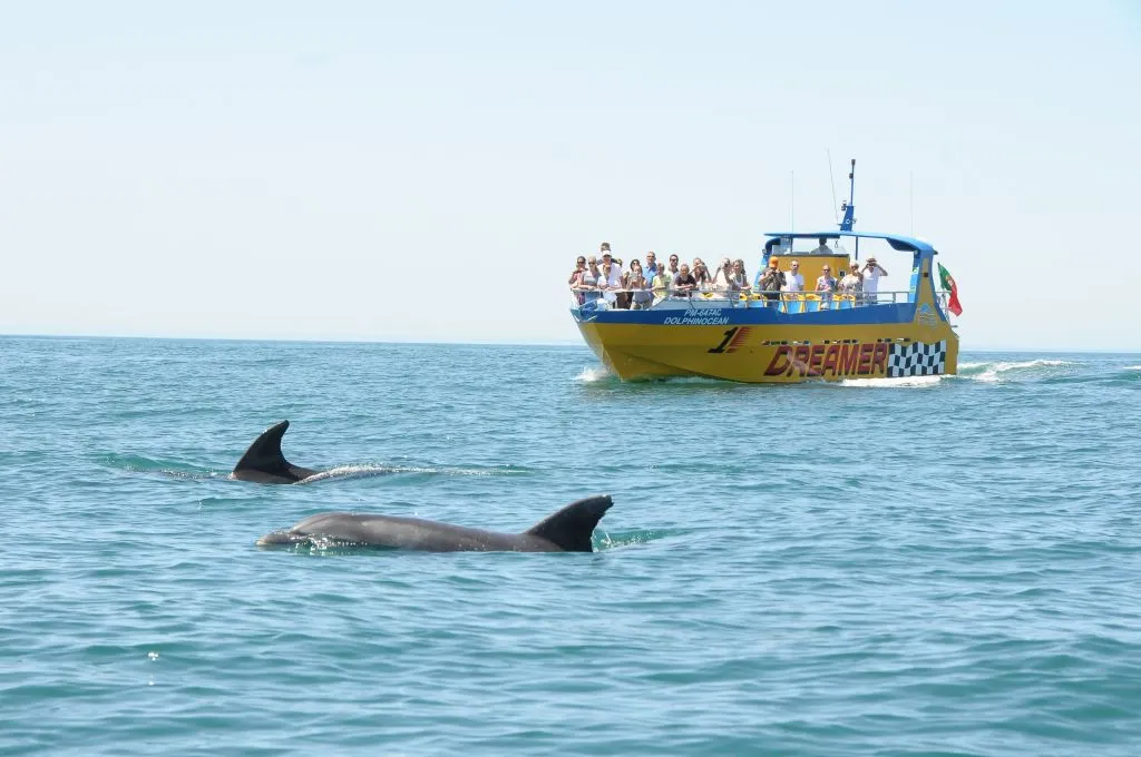 Caves and Dolphin Watching Cruise from Albufeira - Dreamer (Jet Boat)