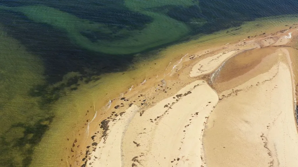 Ria Formosa: 3 Islands Boat Tour from Olhão