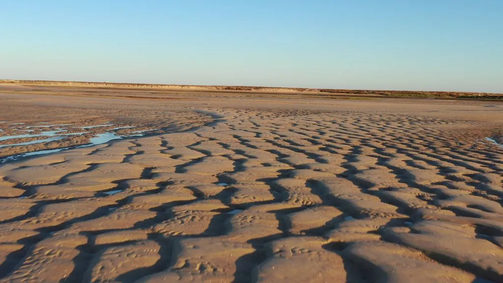 Ria Formosa: 3 Islands Boat Tour from Olhão
