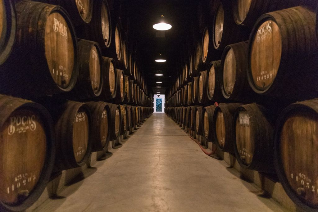 Caves Poças: Vinho do Porto & Pastel de Nata