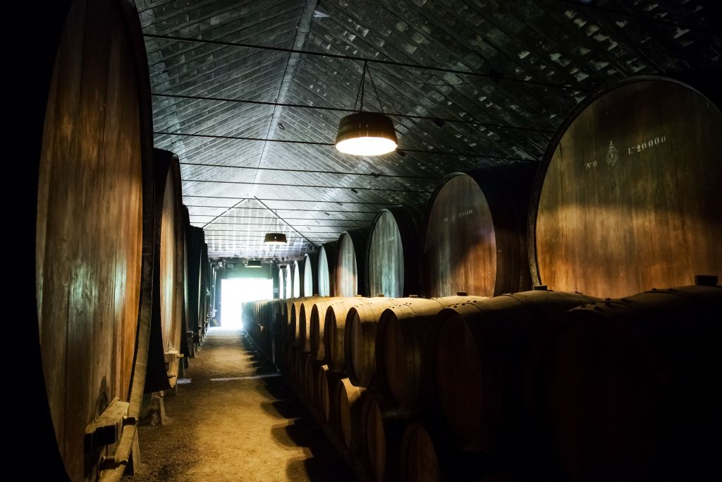 Visite de la ville de Porto en demi-journée : visite guidée avec cave à vin et dégustations
