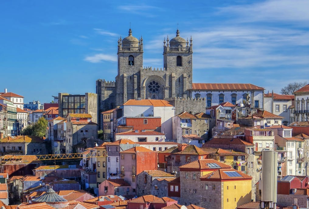 Visite de la ville de Porto en demi-journée : visite guidée avec cave à vin et dégustations